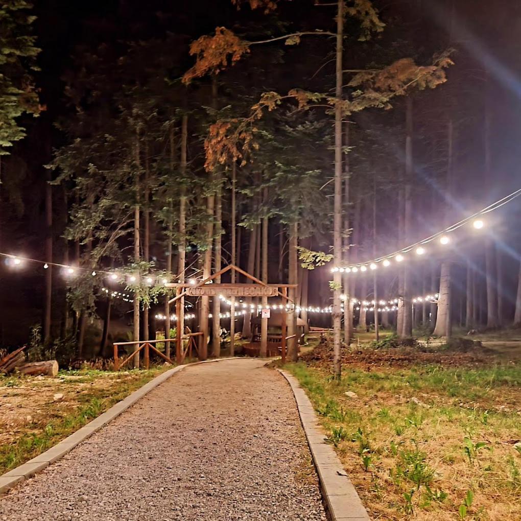 Mountain Studio Asp E63 Borovets Gardens Exterior foto